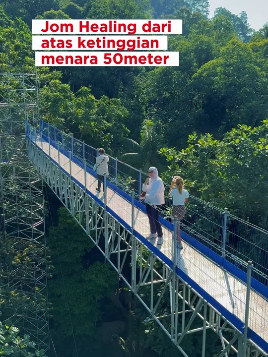 Forest Skywalk FRIM, Kepong